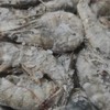 鲜京采 原装进口厄瓜多尔白虾 1.65kg 20-30规格 源头直发 包邮