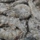  鲜京采 原装进口厄瓜多尔白虾 1.65kg 20-30规格 源头直发 包邮　