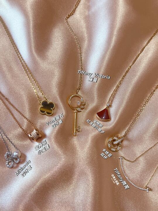 🎉Tiffany藤蔓钥匙加入我的项链大家庭