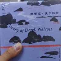 图书📖 篇三：睡前读诗，信手翻开一页，映入眼帘的是一首《六十年以后》