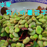 经典川菜折耳根拌胡豆，四川人吃不腻的味道