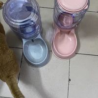 猫咪狗狗自动饮水机