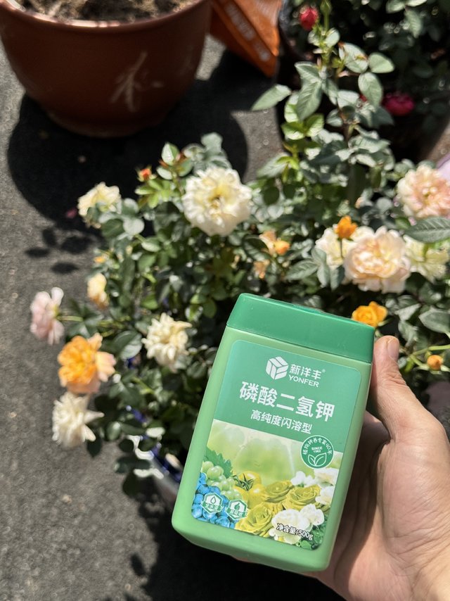 磷酸二氢钾花肥，花肥中的“爱马仕”