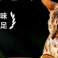 大块肉猫罐头，价格便宜，营养丰富。