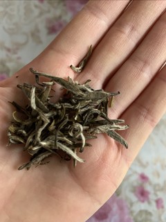 最爱茉莉花茶