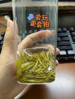 今日份好茶，霍山黄芽