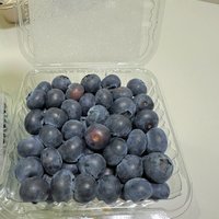 秒杀 ！！云南蓝莓125g/6盒