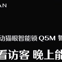 家装必备：德施曼（DESMAN）全自动智能锁指纹锁密码锁