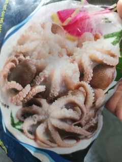 冰鲜小章鱼，美味不可挡！