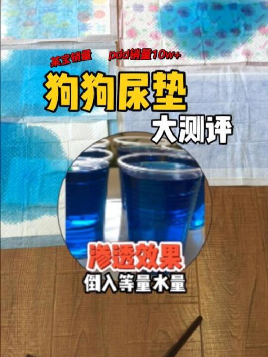 5款爆火狗狗尿垫超仿真测试！看看你用的尿垫