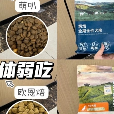 解锁花小钱办大事高性价比狗粮