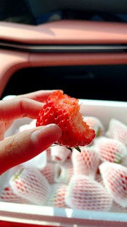 春日第一口甜，应季草莓好香甜