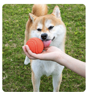 波奇多狗狗玩具球