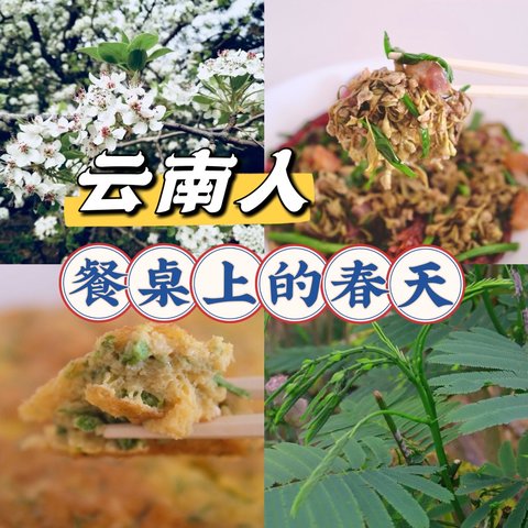 云南人餐桌上的春天，有多野？【有手就会的菜谱分享：棠梨花炒火腿＋臭菜煎蛋】