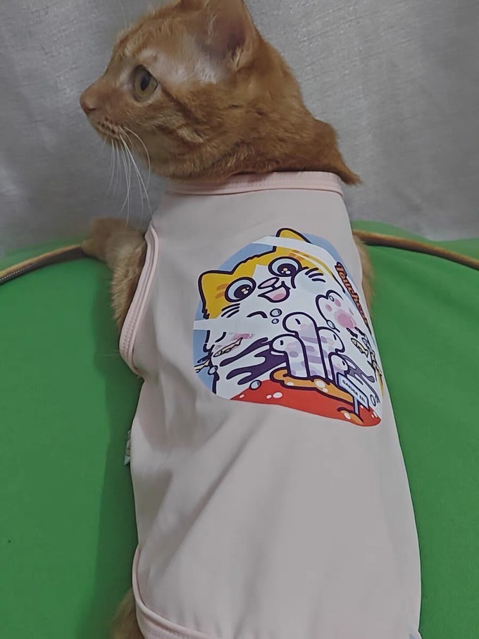 猫咪服饰