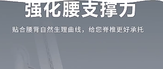 博泰人体工学椅双靠背电脑椅家用办公座椅电竞椅久坐学习转椅子