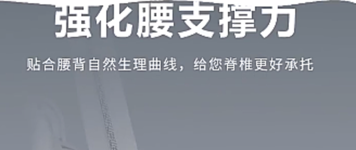 博泰人体工学椅双靠背电脑椅家用办公座椅电竞椅久坐学习转椅子