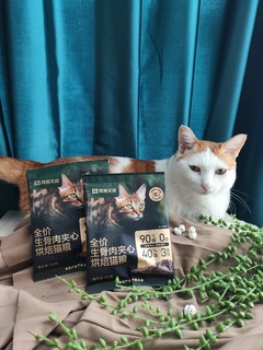 网易天成新品真夹心烘培猫粮，嘻嘻有点像费列罗巧克力