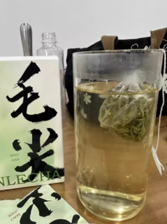 乐品乐茶绿茶毛尖特级21g 2024新茶明前袋泡茶包盒装清香型7包办公下午茶