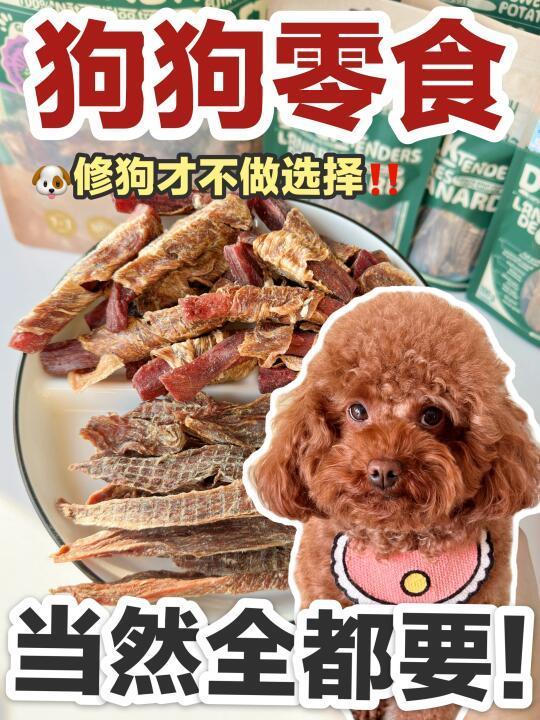 修狗狗才不做选择！这些零食我都要