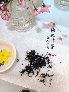 春食枸杞叶，你听说过枸杞叶茶吗？