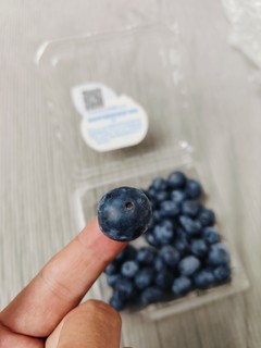我一直认为，蓝莓和我小时候田边的野果子一样！