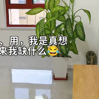 看了江西一女姑娘的家，才知啥叫干净，原来“摆烂”也能让家一尘不染