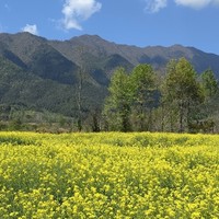 带娃安徽行不去宏村婺源，怎么玩？