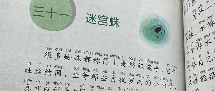 和娃一起读昆虫记之迷宫蛛