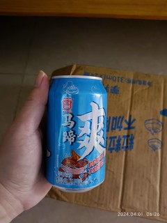 ASIA 亚洲 马蹄爽荸荠果肉饮料 夏季清凉饮品310ml*24罐