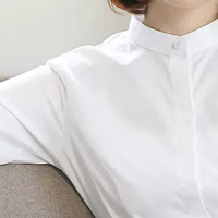 白衬衫女立领职业工作服棉质衬衣面试新款小众设计感春秋叠穿衬衫
