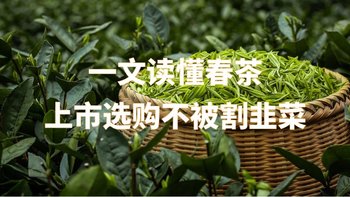 一文读懂春茶，上市选购不被割韭菜