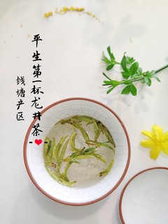 生平第一杯龙井茶，八克明前特级品鉴装，满足我的好奇心