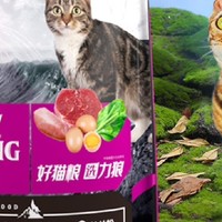 力狼牛肉味猫粮，养猫家庭的必备之选！