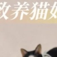 多猫家庭｜精致养猫hin简单