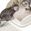 宠物专栏 篇七十二：告别异味与烦恼，这款猫砂盆让猫咪生活更美好！