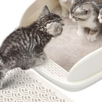 告别异味与烦恼，这款猫砂盆让猫咪生活更美好！