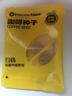买咖啡送咖啡种子，可是我种哪里？