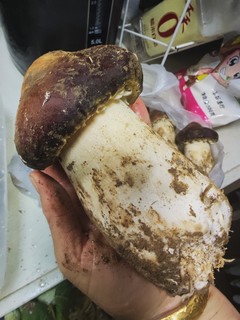 这蘑菇5块钱一斤，价格不贵还挺好吃的！