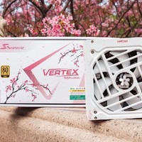 绝美樱花色系的电源：海韵 VERTEX GX-1000 ATX3.0 金牌全模樱花版