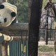 北京动物园的春日记忆