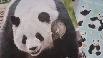 读书笔记 篇十：《熊猫萌兰》：“西直门三太子“秘史 
