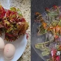 春季时令蔬菜