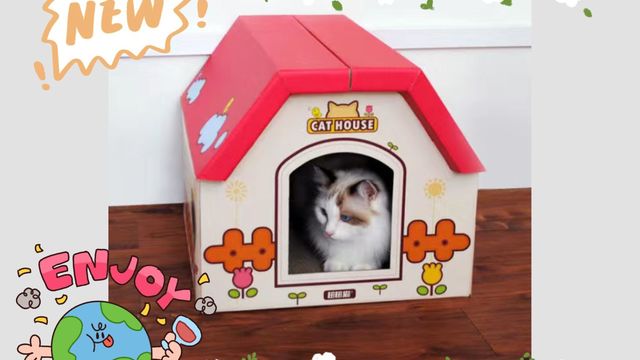 瓦楞纸盒变猫房？创意无限！