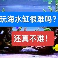 玩海水缸很难吗？其实一点也不难！这些是我玩海缸的经验