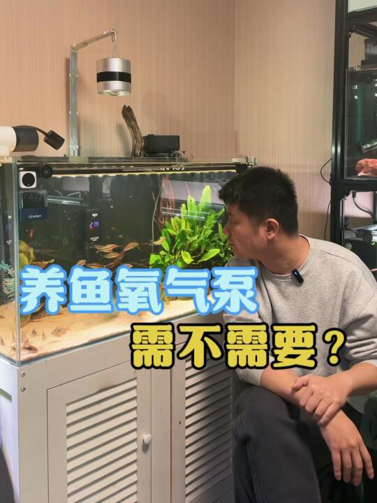 养鱼氧气泵，需不需要？