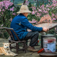 建议中老年人：春季饮食要忌口，牢记“2少吃2多吃”，安稳过春天