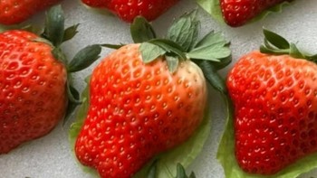 鲜美诱人的草莓！