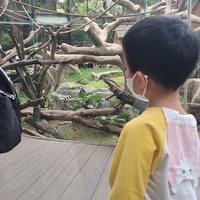 孩子就喜欢去动物园！