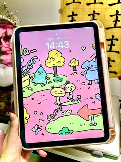 苹果的性价比iPad